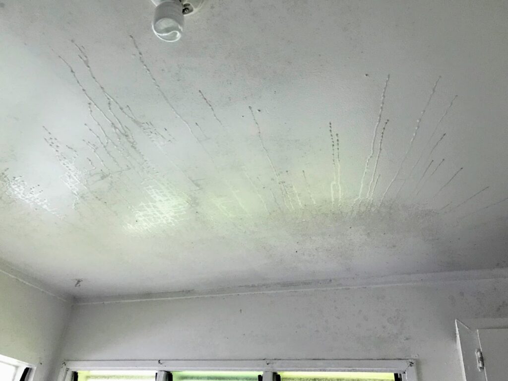 Rain Water on the Ceiling