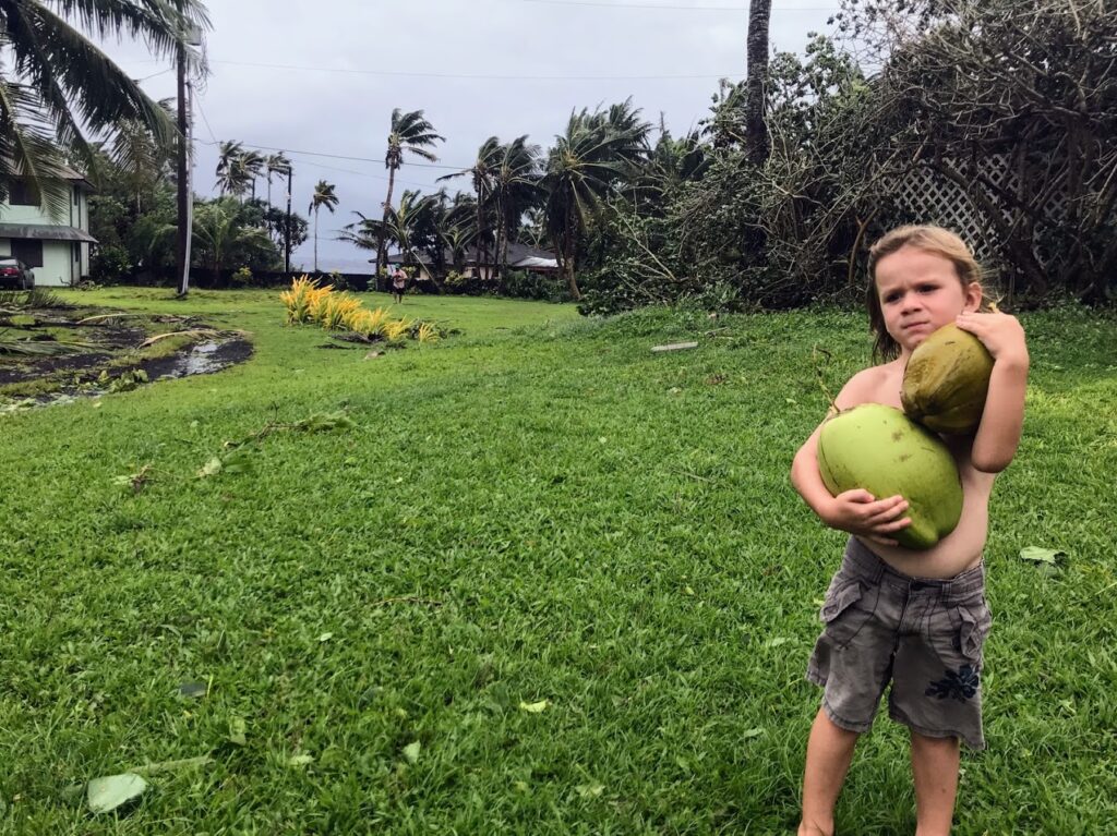 Young Boy Collecting Coconuts After Cyclone Gita