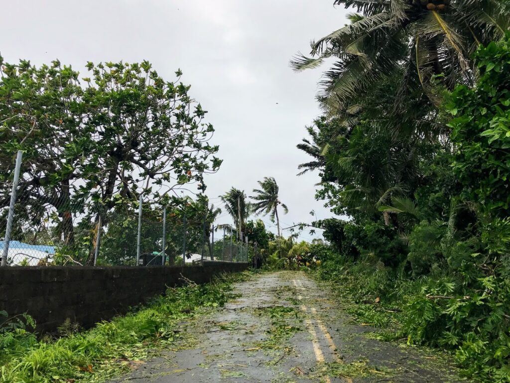 Road Strewn with Debris and Downed foliage from Cyclone Gita