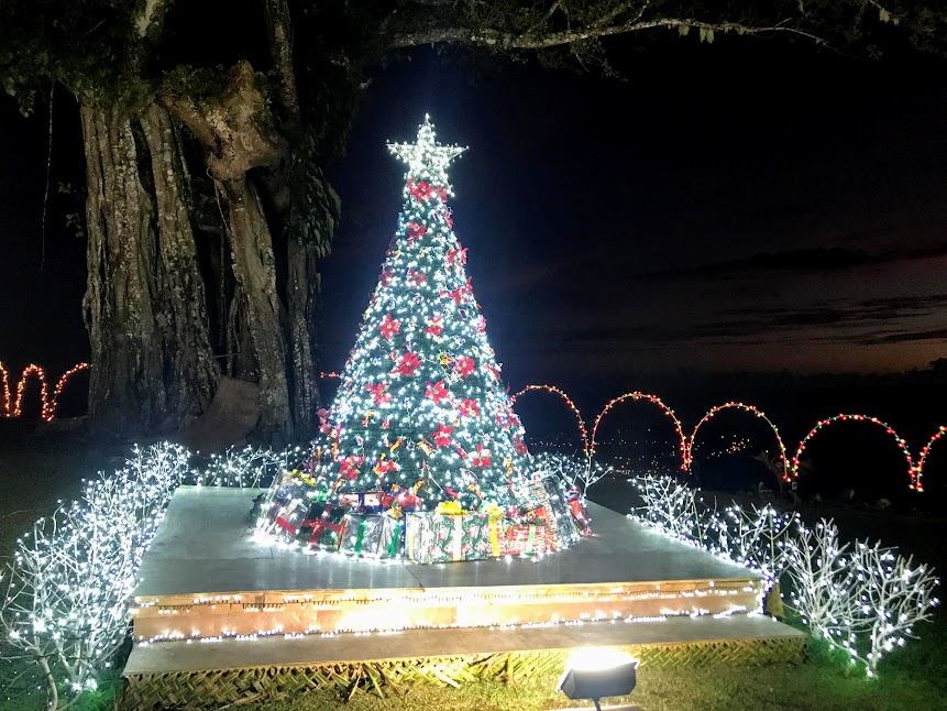 Christmas Decorations in Aoloau