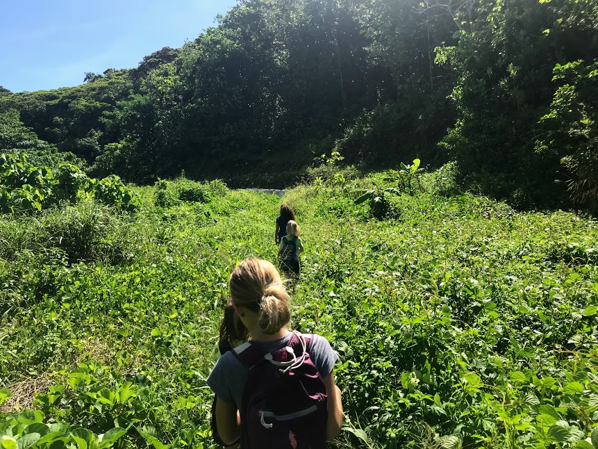 Kids hiking the beginning of Tuafanua Trail