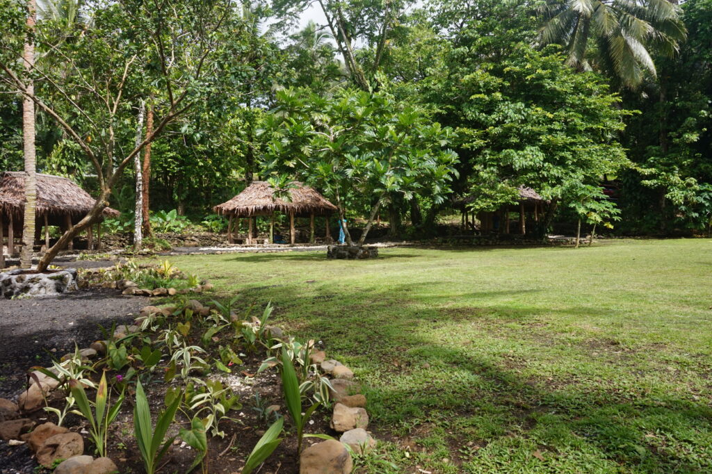 Le Faleo'o fales amid the rainforest backdrop