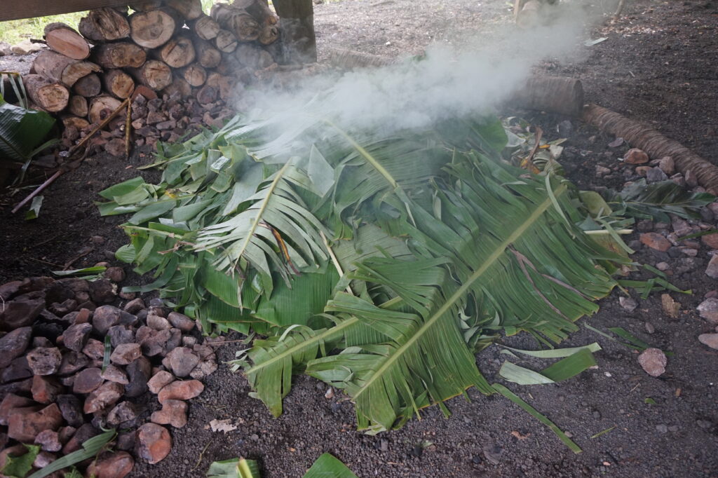 Samoan earth oven- umu
