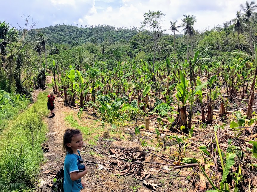 Children hiking through a banana plantation