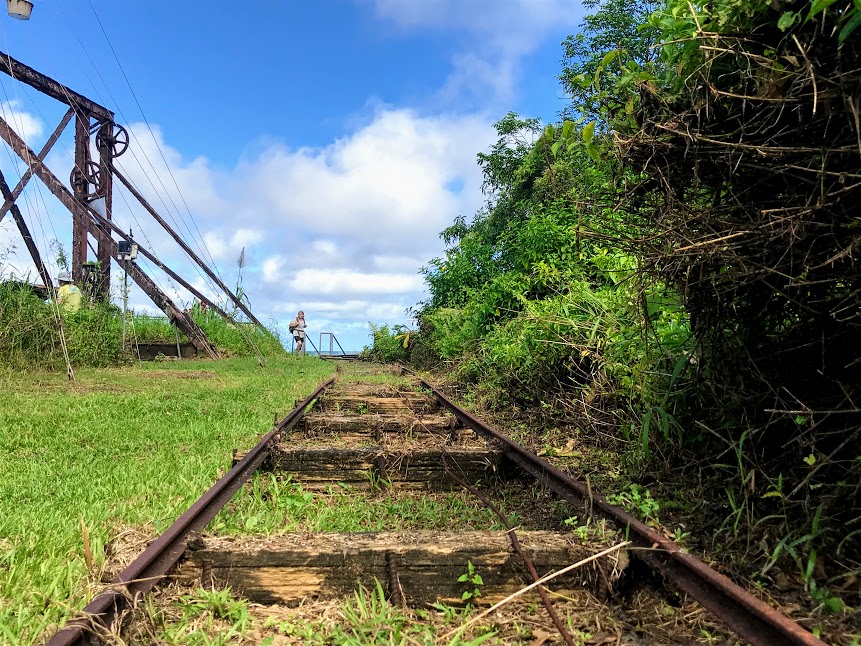Abandoned Tram Rails at the Top of Mount Alava